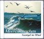 MEERESRAUSCHEN Seevögel im Wind, Audio-CD